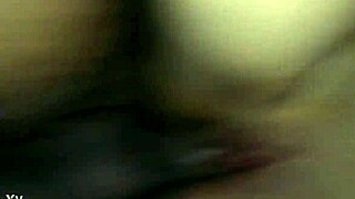 mexican hotwife laura daniela exposes big tits in mexico city