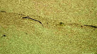 gorgeous 18+ teen agnes strips naked soaking her curves ocean-side