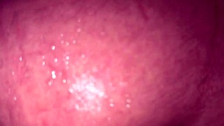 guy sneaks tourist into hostel for bathroom bang