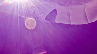 slender 38 year old married woman craves car sex thrill