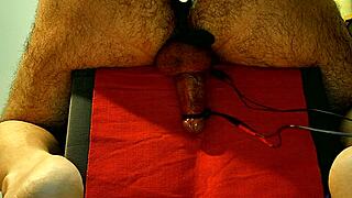 solo anal toys on chair building to massive cum explosion 💦😩🔥