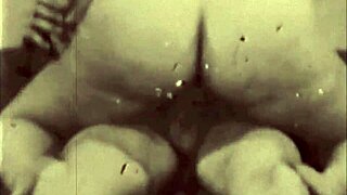 vintage erotic art collection from antique retro era