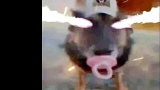 Insane Amats Athletic Mashup Hechizeros Ditzyflama Theme