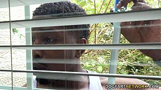 bbc wrecks kendra cole's ass in extreme anal creampie