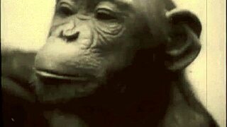 Vintage hairy pussy exposed outdoors stirring deep nostalgic outdoor urges and retro thrills