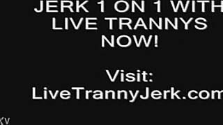 Shemale webcam legs and feet drenched in cum