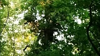 hey slut kneel in forest for master’s rough doggy dildo pounding