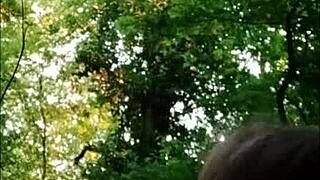 hey slut kneel in forest for master’s rough doggy dildo pounding