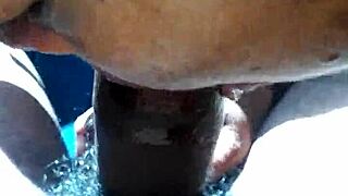 passionate car blowjob drives me wild