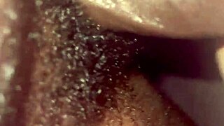 roxxane screams as monster bbc fucks her european pussy wild?!