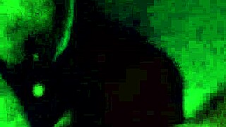 sloppy ebony bbw sucks huge black cock craving creampie