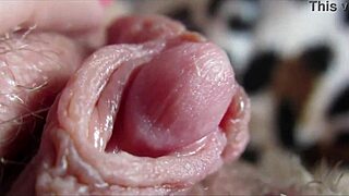 Closeup Of Huge Clit In Intense Climax
