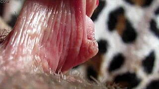 Closeup Of Huge Clit In Intense Climax