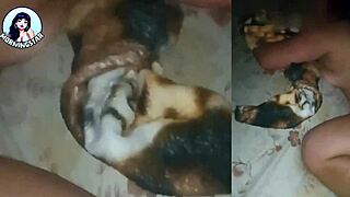 Early morning sneaky fuck behind cheating wife