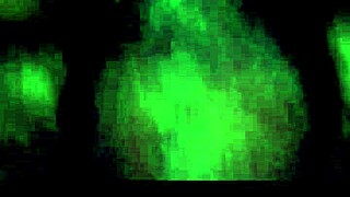 Latina Pussy Slammed Hardcore With Wild Moans