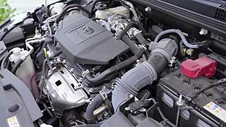 Fucked Petite Stranger After Car Fix in Wild Outdoor Session