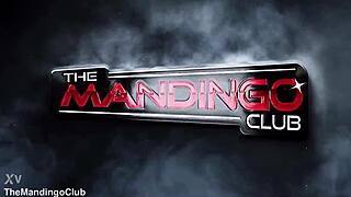 Slut endures rough gangbang from big black cocks with cheering voyeur