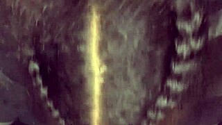 guccicapone pounds bbw model loveythethroatgoat bent over with big black cock