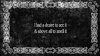 Wow, dive into my secret vintage hairy pussy beaver adventures now!