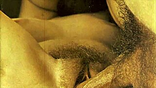 VINTAGE HAIRY PUSSY GETS BOLD INTERRACIAL FUCKING