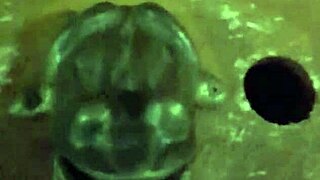 Rana's gloves guide the throbbing cock to her facial cumshot finale