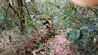 he paid to see my big pussy flashing deep in the park woods