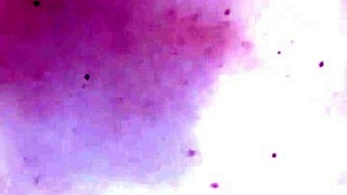 After school, petite busty Latina takes hard missionary pounding.