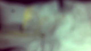 blair, ready for hardcore pov casting with deep anal and sloppy blowjob?