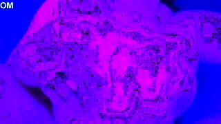 couple dives into hot swinger club action with full intense sex session