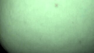 can my wet white pussy handle that monster black cock?