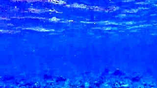 teasing reveal of huge dildo beauty