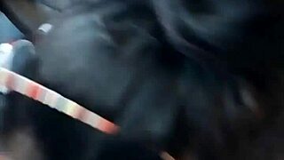 wanna see this brunette deepthroat that big cock close up?