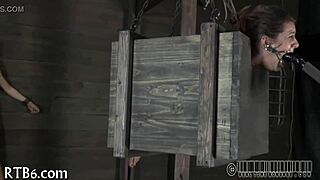 extreme sadomasochism intensity builds