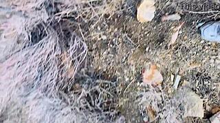 Amateur white boy publicly kneels sucking shemale's huge throbbing cock outdoors