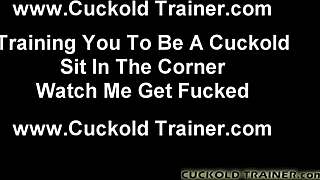 Humiliating Cuckold Bitches Thrills Me