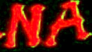 Adriana Kelly's Intriguing Toilet Face Reveal