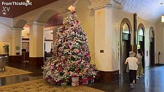 kal strolls waikiki spotting christmas lights with gentleman callers