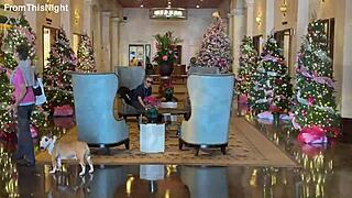 kal strolls waikiki spotting christmas lights with gentleman callers