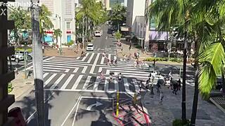 kal strolls waikiki spotting christmas lights with gentleman callers