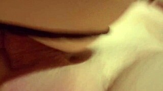 ukrainian tattooed whore kamenskoe dirya yazzzva homemade big cock pounding