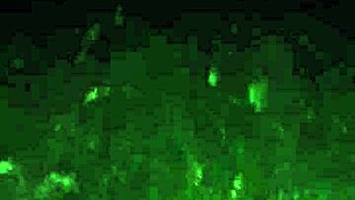 Incredible Emotional Rush Meeting Cute Jungle Whore Friend!