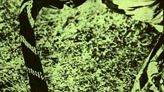 Dark Lanterns Vintage Beauty Exposes Hairy Pussy and Natural Tits