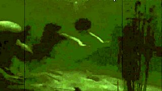 Dark Lanterns Vintage Beauty Exposes Hairy Pussy and Natural Tits