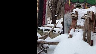 snow exhibitionist flashes wildly in public part two