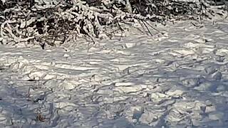 I jerk off so risky in public park near people, gonna cum!!