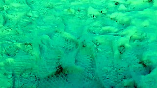 I jerk off so risky in public park near people, gonna cum!!