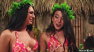 wanna face two hot shemales sitting on you licking ass before bareback fuck?