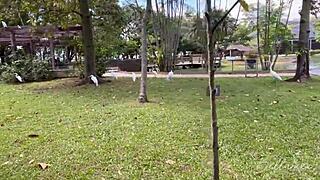 tour guide takes vacation guy to park spot for steamy fun ending in cum on ass