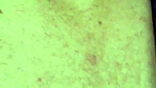 Stranger Hunt on Cruise to Fuck My Pussy Now!