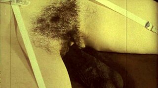 vintage interracial confessions from victorian gentleman's secret erotic life